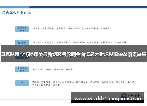 国家队核心伤停球员最新动态与影响全面汇总分析深度解读及前景展望