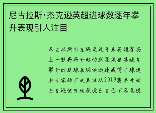 尼古拉斯·杰克逊英超进球数逐年攀升表现引人注目